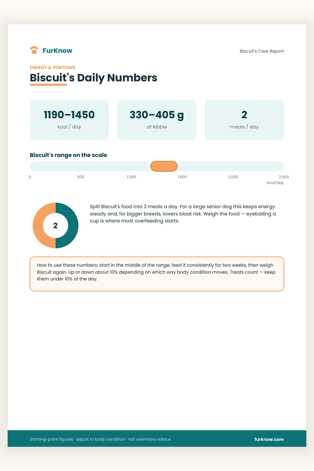 Personalised Dog Care Report
