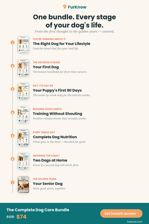 The Complete Library — All 7 Guides