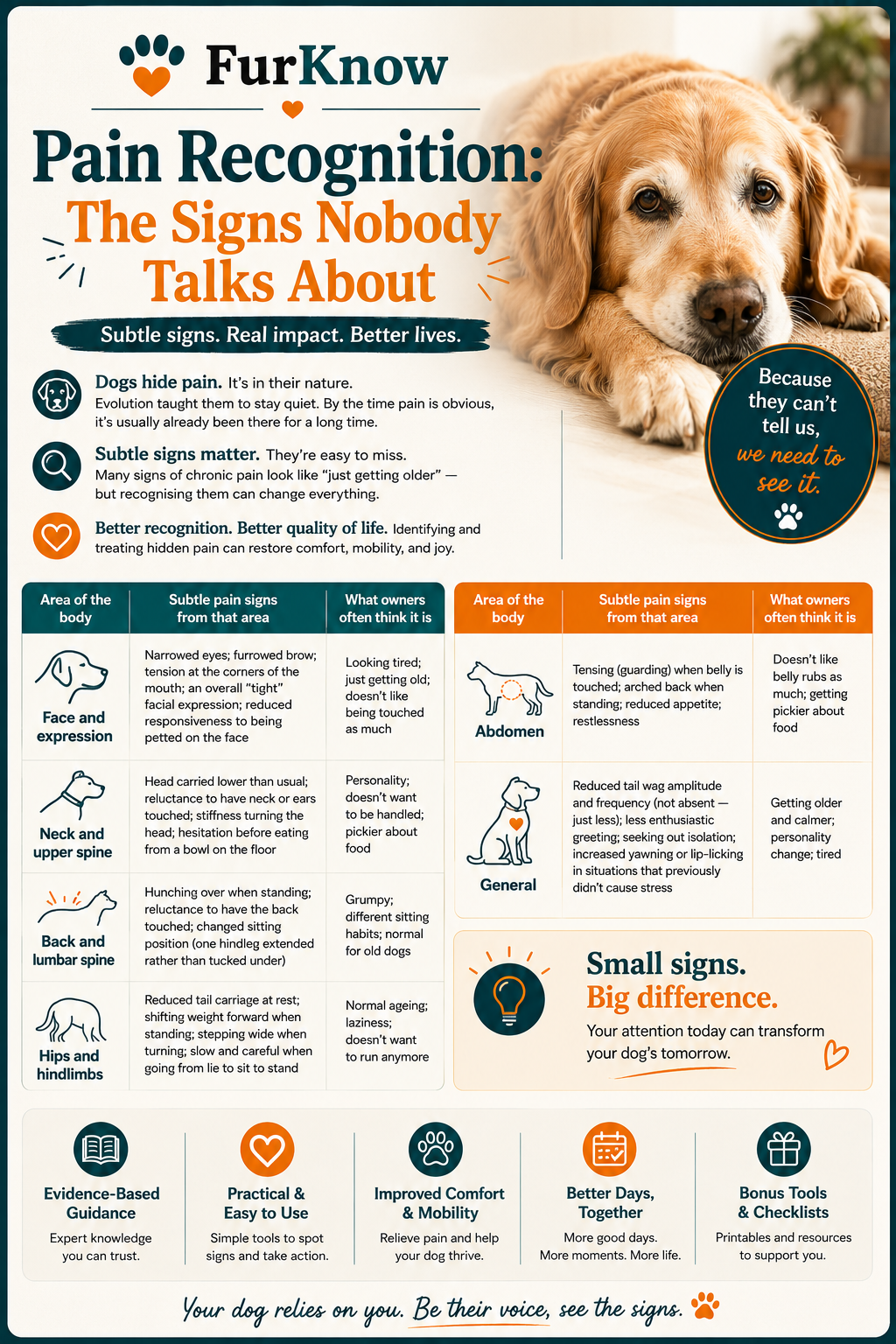 Your Senior Dog — Pain Recognition: how to spot hidden pain in older dogs