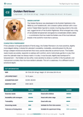 The Right Dog for Your Lifestyle