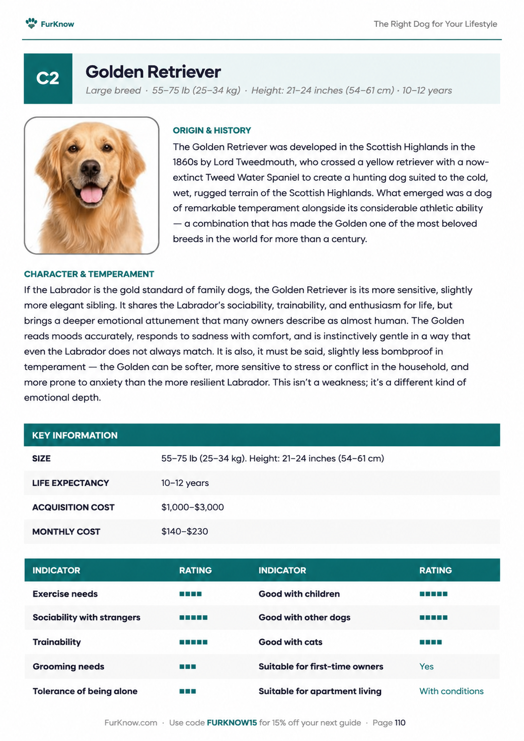 The Right Dog for Your Lifestyle