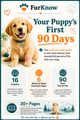 Your Puppy's First 90 Days