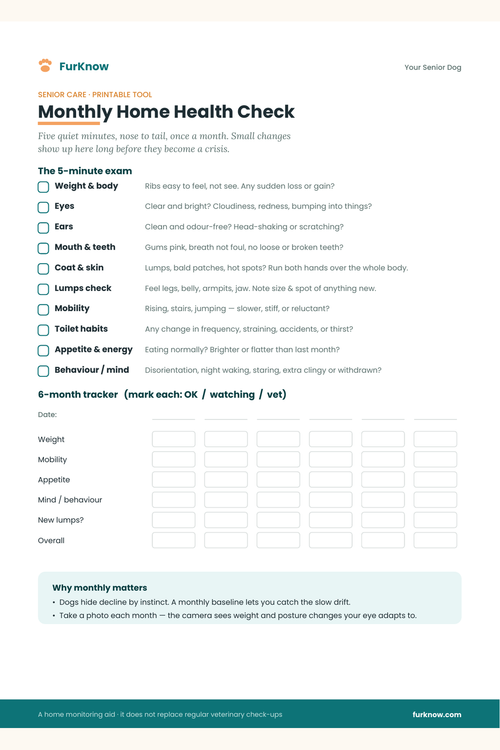 Your Senior Dog — Monthly Home Health Check: printable 5-minute nose-to-tail exam with 6-month tracker