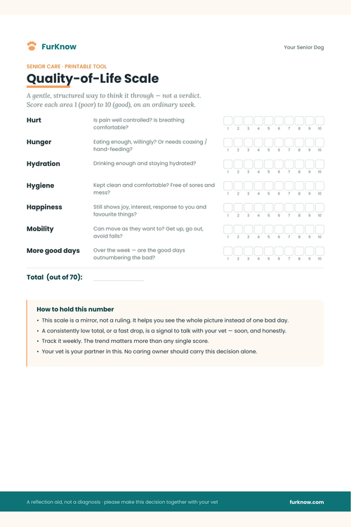 Your Senior Dog — Quality of Life Scale: printable 7-area scoring tool for senior dogs