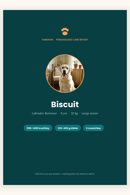 Personalised Dog Care Report