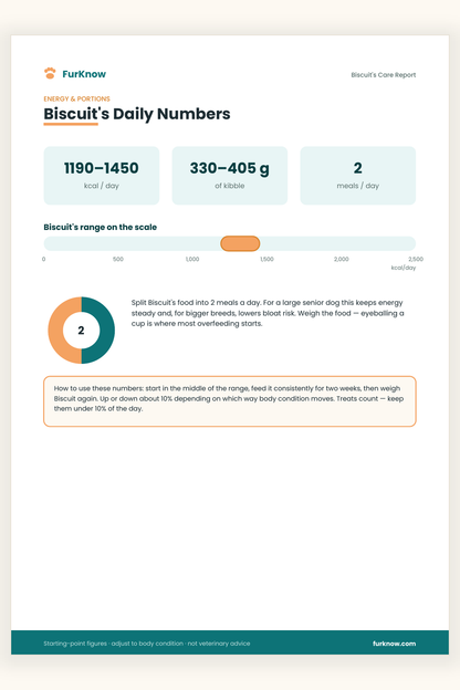 Personalised Dog Care Report
